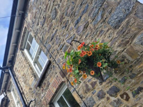Brynteg cottage near seaside resort of New Quay